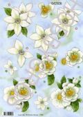 Klik her for at se flere billeder og f� mere information om varen:&nbsp; 2506 - 3D Hvide blomster - 2 kort