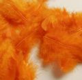 Klik her for at se flere billeder og f� mere information om varen:&nbsp; 6004 - Fjer Orange, 7g - Fin kvalitet