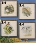 Klik her for at se flere billeder og f mere information om varen:  Hv 1996: Mønster: Brodere Smukke fugle 29x29cm *org*
