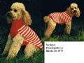 Klik her for at se flere billeder og f mere information om varen:  Bu 10-75-29: Mønster: Strik - Hundepullover i Rød og Hvid *PDF fil*